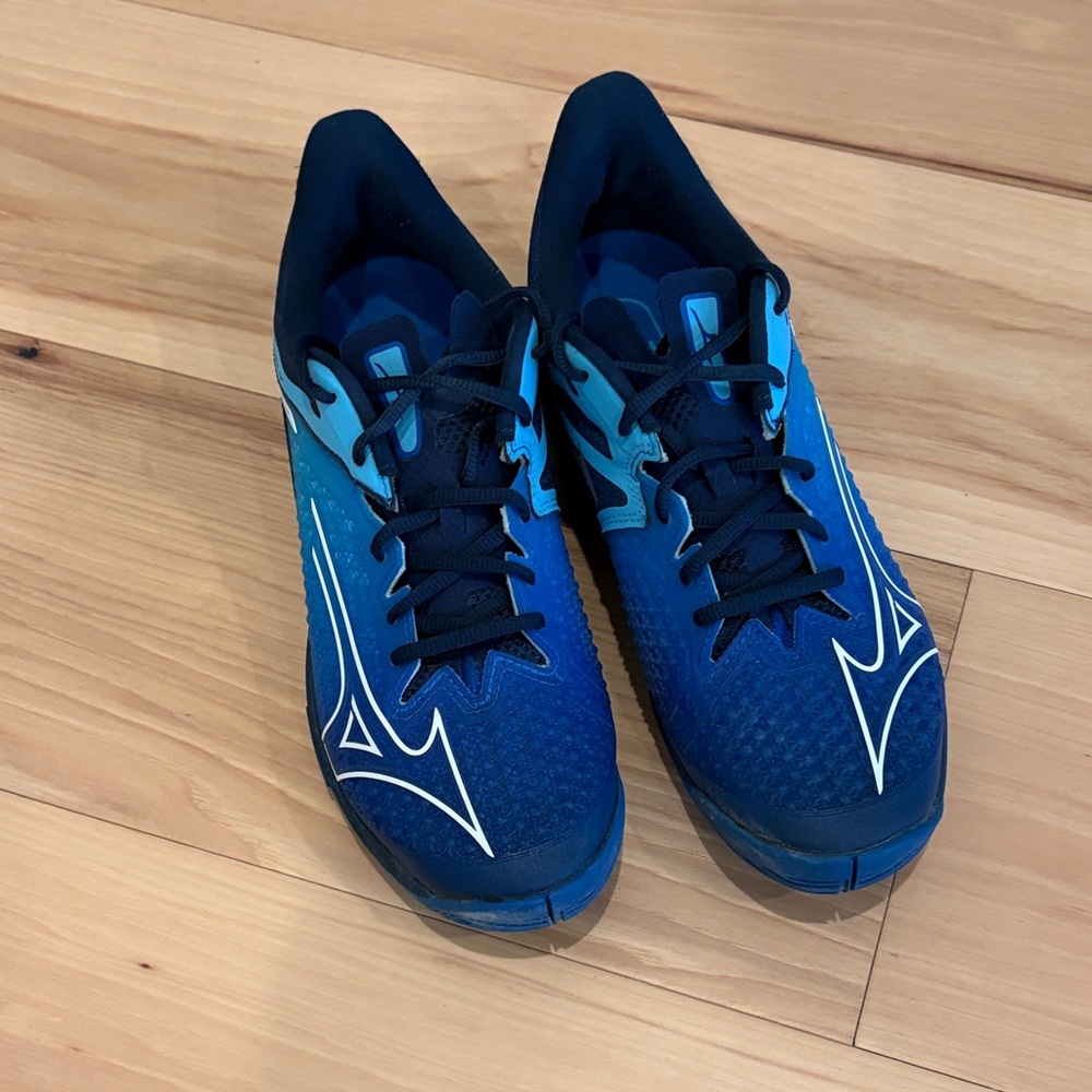Mizuno Men's Blue Athletic Lace-Up Training Shoes